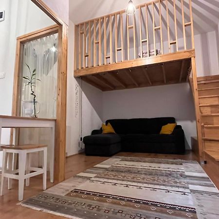 Downtown Apartment Timișoara Zewnętrze zdjęcie
