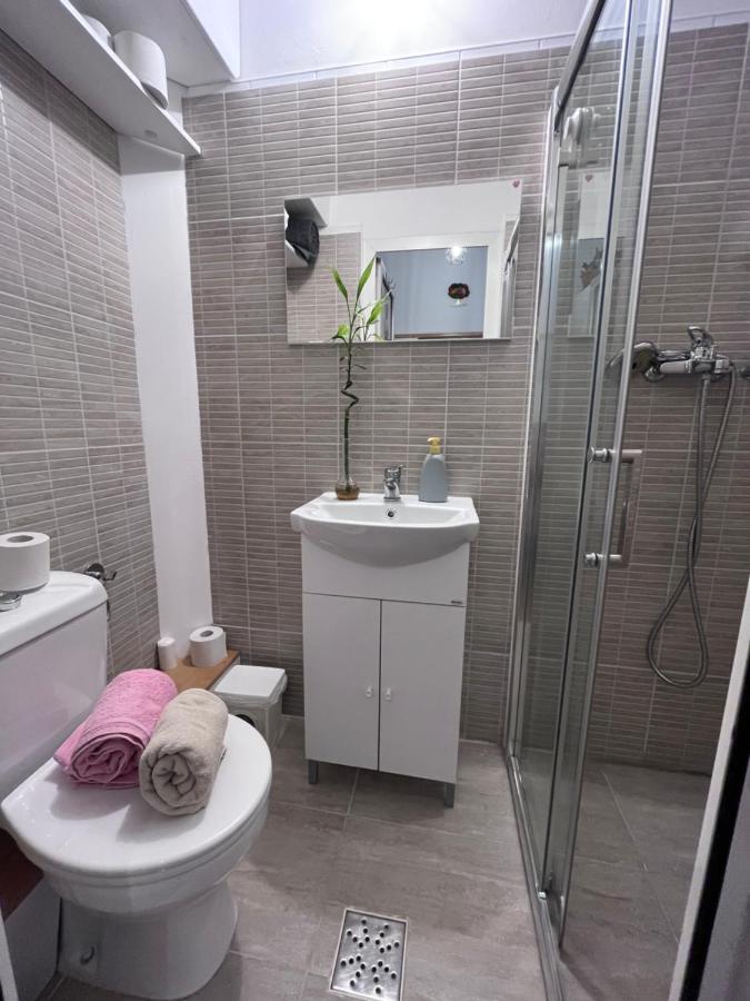 Downtown Apartment Timișoara Zewnętrze zdjęcie